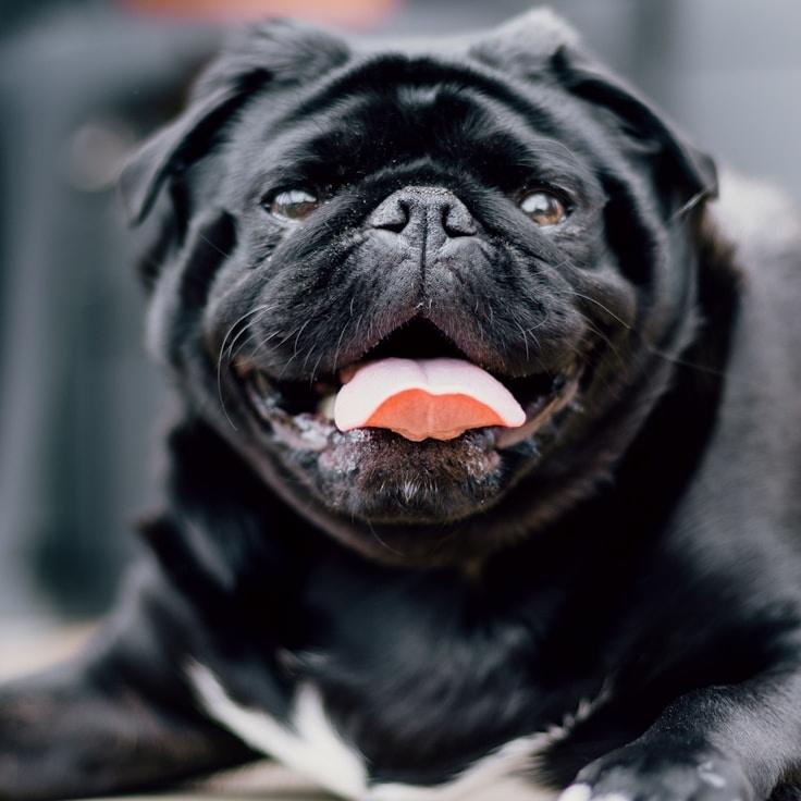 Portrait of Nova Sterling, group coordinator and fusion cooking expert